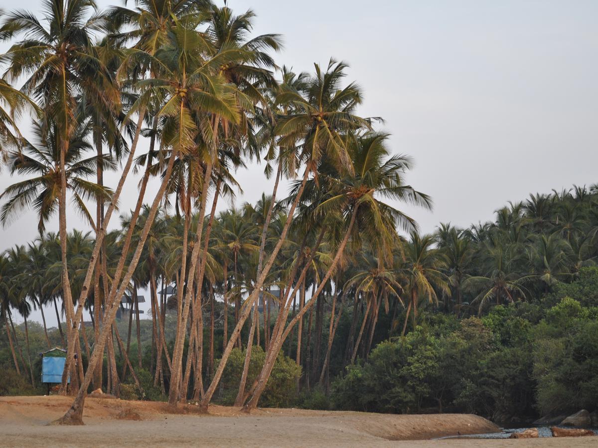 Tutti Garden Bungalows Hotel Mormugao Exterior foto