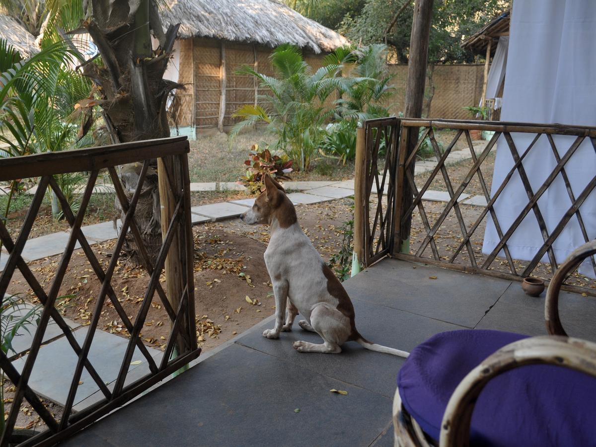 Tutti Garden Bungalows Hotel Mormugao Exterior foto